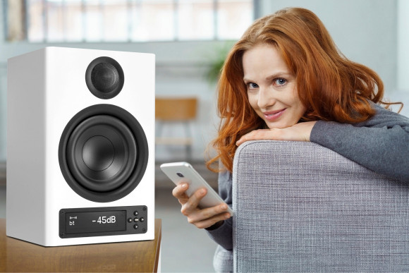 Nubert nuPro X-4000